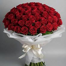Букет 101 Красная роза Блэк Мэджик в Михайловке Иркутской области