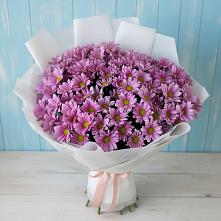 Букет цветов из:  Хризантемы в Михайловке Иркутской области