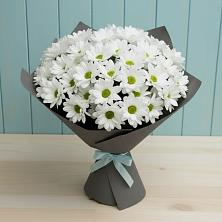 Букет цветов из:  Хризантемы в Михайловке Иркутской области