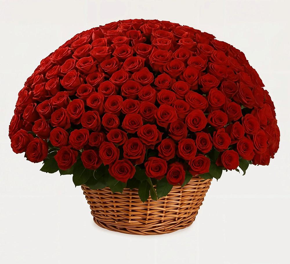 Премиум букет из: Розы в Михайловке Иркутской области