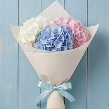 Букет цветов из:  Гортензия в Михайловке Иркутской области