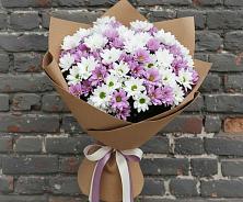 Букет цветов из:  Хризантемы в Михайловке Иркутской области