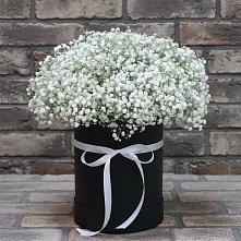 Цветочная композиция из Гипсофила в шляпной коробке в Михайловке Иркутской области