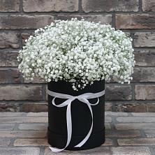 Цветочная композиция из Гипсофила в шляпной коробке в Михайловке Иркутской области