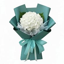 Букет цветов из:  Гортензия в Михайловке Иркутской области